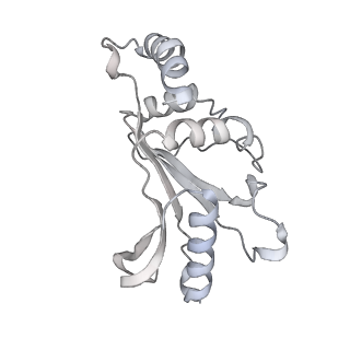 16497_8c90_F_v1-0
Cryo-EM captures early ribosome assembly in action