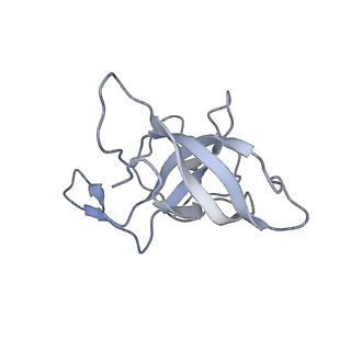 16497_8c90_K_v1-0
Cryo-EM captures early ribosome assembly in action