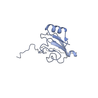 16497_8c90_L_v1-0
Cryo-EM captures early ribosome assembly in action
