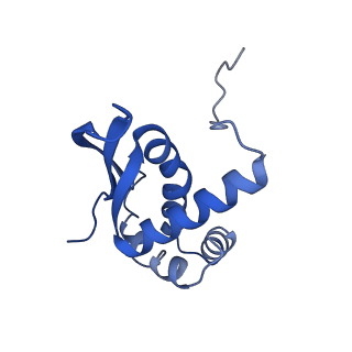 16497_8c90_N_v1-0
Cryo-EM captures early ribosome assembly in action