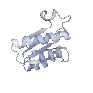 16497_8c90_O_v1-0
Cryo-EM captures early ribosome assembly in action