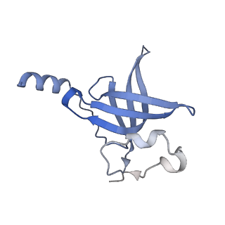 16497_8c90_P_v1-0
Cryo-EM captures early ribosome assembly in action