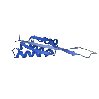 16497_8c90_S_v1-0
Cryo-EM captures early ribosome assembly in action