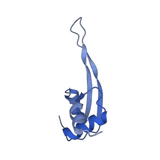 16497_8c90_T_v1-0
Cryo-EM captures early ribosome assembly in action