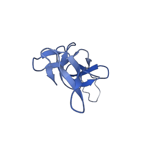 16497_8c90_U_v1-0
Cryo-EM captures early ribosome assembly in action