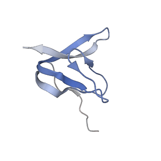 16497_8c90_W_v1-0
Cryo-EM captures early ribosome assembly in action