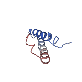 16497_8c90_Y_v1-0
Cryo-EM captures early ribosome assembly in action