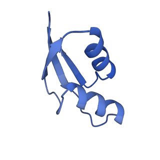 16497_8c90_Z_v1-0
Cryo-EM captures early ribosome assembly in action