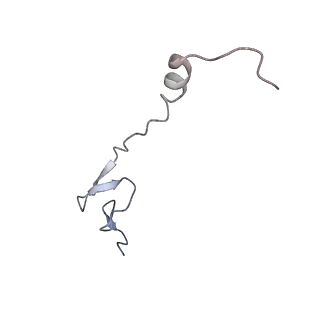 16498_8c91_0_v1-0
Cryo-EM captures early ribosome assembly in action