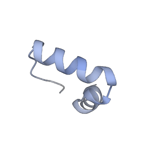 16498_8c91_2_v1-0
Cryo-EM captures early ribosome assembly in action