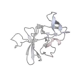 16498_8c91_C_v1-0
Cryo-EM captures early ribosome assembly in action
