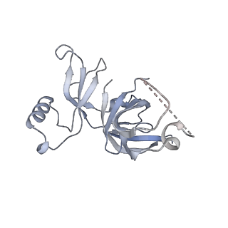 16498_8c91_D_v1-0
Cryo-EM captures early ribosome assembly in action