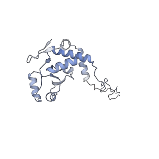 16498_8c91_E_v1-0
Cryo-EM captures early ribosome assembly in action
