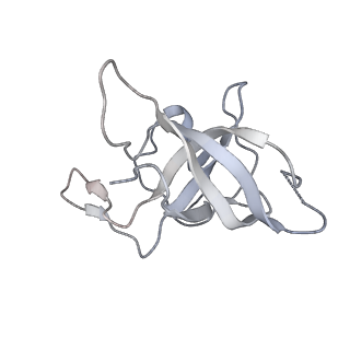16498_8c91_K_v1-0
Cryo-EM captures early ribosome assembly in action