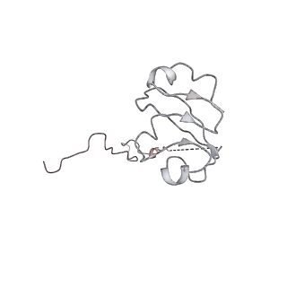 16498_8c91_L_v1-0
Cryo-EM captures early ribosome assembly in action