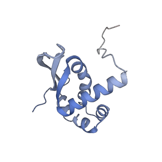 16498_8c91_N_v1-0
Cryo-EM captures early ribosome assembly in action