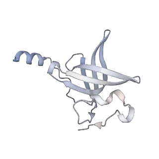 16498_8c91_P_v1-0
Cryo-EM captures early ribosome assembly in action