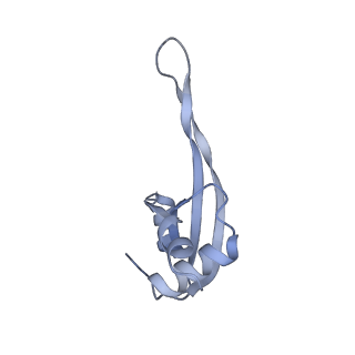 16498_8c91_T_v1-0
Cryo-EM captures early ribosome assembly in action
