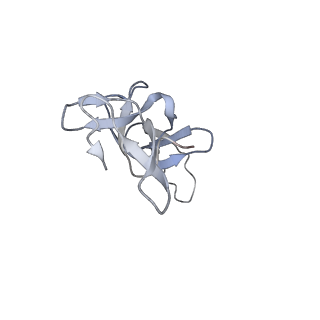 16498_8c91_U_v1-0
Cryo-EM captures early ribosome assembly in action