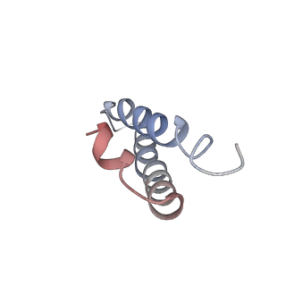 16498_8c91_Y_v1-0
Cryo-EM captures early ribosome assembly in action