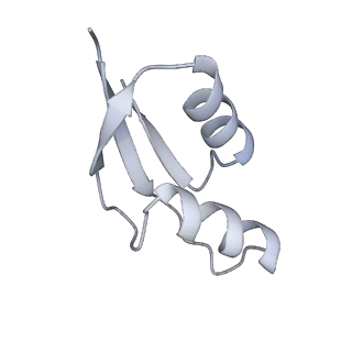 16498_8c91_Z_v1-0
Cryo-EM captures early ribosome assembly in action