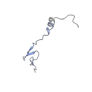 16499_8c92_0_v1-0
Cryo-EM captures early ribosome assembly in action