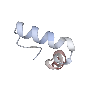 16499_8c92_2_v1-0
Cryo-EM captures early ribosome assembly in action