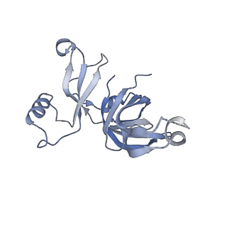 16499_8c92_D_v1-0
Cryo-EM captures early ribosome assembly in action