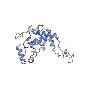 16499_8c92_E_v1-0
Cryo-EM captures early ribosome assembly in action