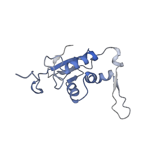 16499_8c92_J_v1-0
Cryo-EM captures early ribosome assembly in action