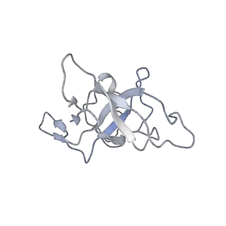 16499_8c92_K_v1-0
Cryo-EM captures early ribosome assembly in action