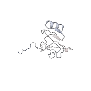 16499_8c92_L_v1-0
Cryo-EM captures early ribosome assembly in action