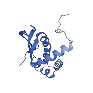 16499_8c92_N_v1-0
Cryo-EM captures early ribosome assembly in action
