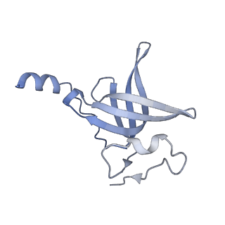 16499_8c92_P_v1-0
Cryo-EM captures early ribosome assembly in action