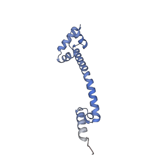16499_8c92_Q_v1-0
Cryo-EM captures early ribosome assembly in action