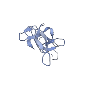 16499_8c92_U_v1-0
Cryo-EM captures early ribosome assembly in action