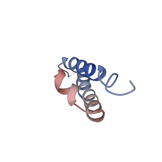 16499_8c92_Y_v1-0
Cryo-EM captures early ribosome assembly in action