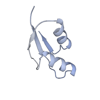 16499_8c92_Z_v1-0
Cryo-EM captures early ribosome assembly in action