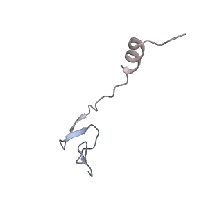 16500_8c93_0_v1-0
Cryo-EM captures early ribosome assembly in action