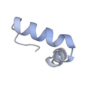 16500_8c93_2_v1-0
Cryo-EM captures early ribosome assembly in action