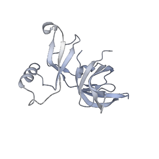 16500_8c93_D_v1-0
Cryo-EM captures early ribosome assembly in action