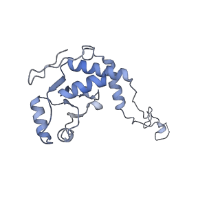 16500_8c93_E_v1-0
Cryo-EM captures early ribosome assembly in action