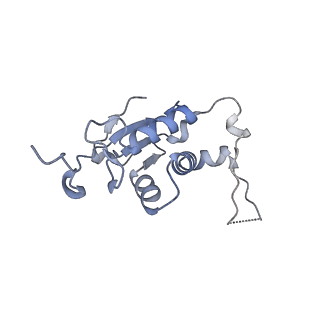 16500_8c93_J_v1-0
Cryo-EM captures early ribosome assembly in action