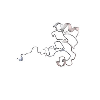 16500_8c93_L_v1-0
Cryo-EM captures early ribosome assembly in action