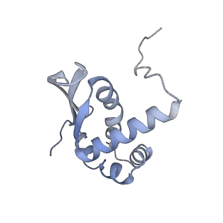 16500_8c93_N_v1-0
Cryo-EM captures early ribosome assembly in action