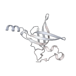 16500_8c93_P_v1-0
Cryo-EM captures early ribosome assembly in action