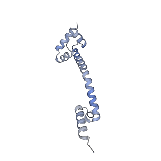 16500_8c93_Q_v1-0
Cryo-EM captures early ribosome assembly in action