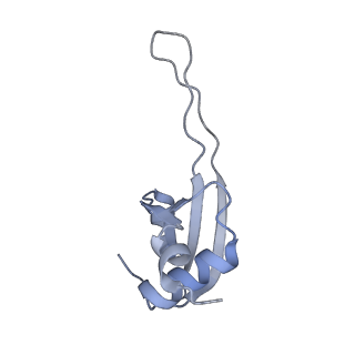 16500_8c93_T_v1-0
Cryo-EM captures early ribosome assembly in action
