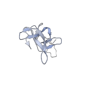 16500_8c93_U_v1-0
Cryo-EM captures early ribosome assembly in action