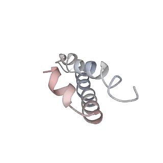 16500_8c93_Y_v1-0
Cryo-EM captures early ribosome assembly in action